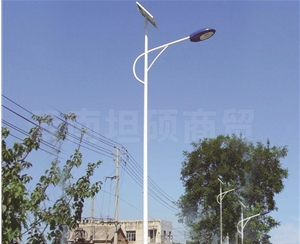 新農(nóng)村太陽能路燈